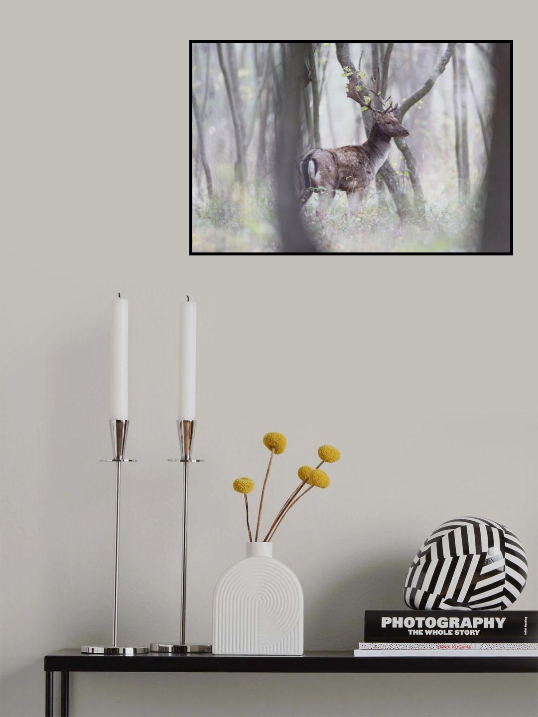 Poster och Canvastavla