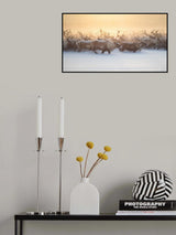 The herd III Poster och Canvastavla