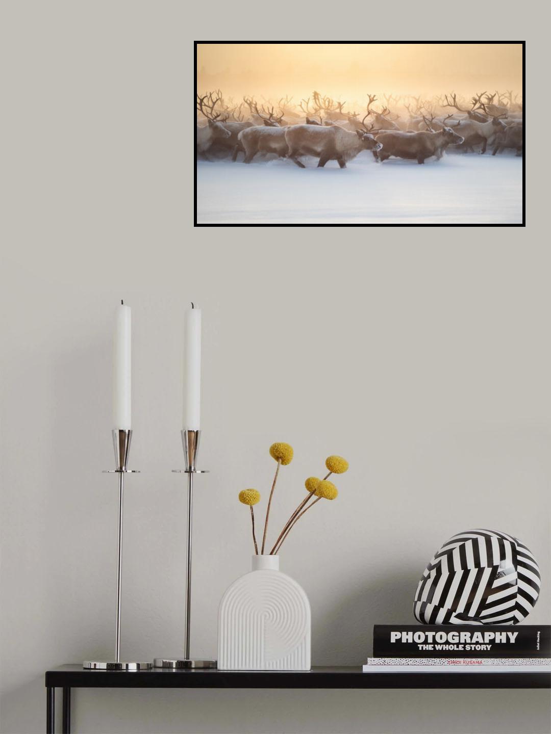 The herd III Poster och Canvastavla