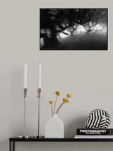 Spirit of the forest Poster och Canvastavla