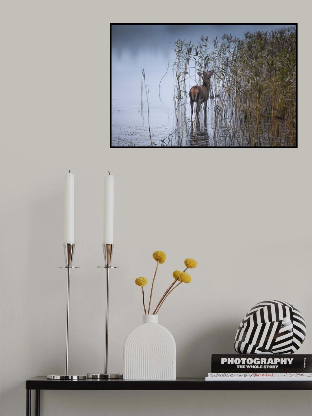 The Leaf Eater Poster och Canvastavla