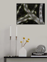 Poster och Canvastavla