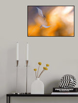 Confronting the solar storm... Poster och Canvastavla