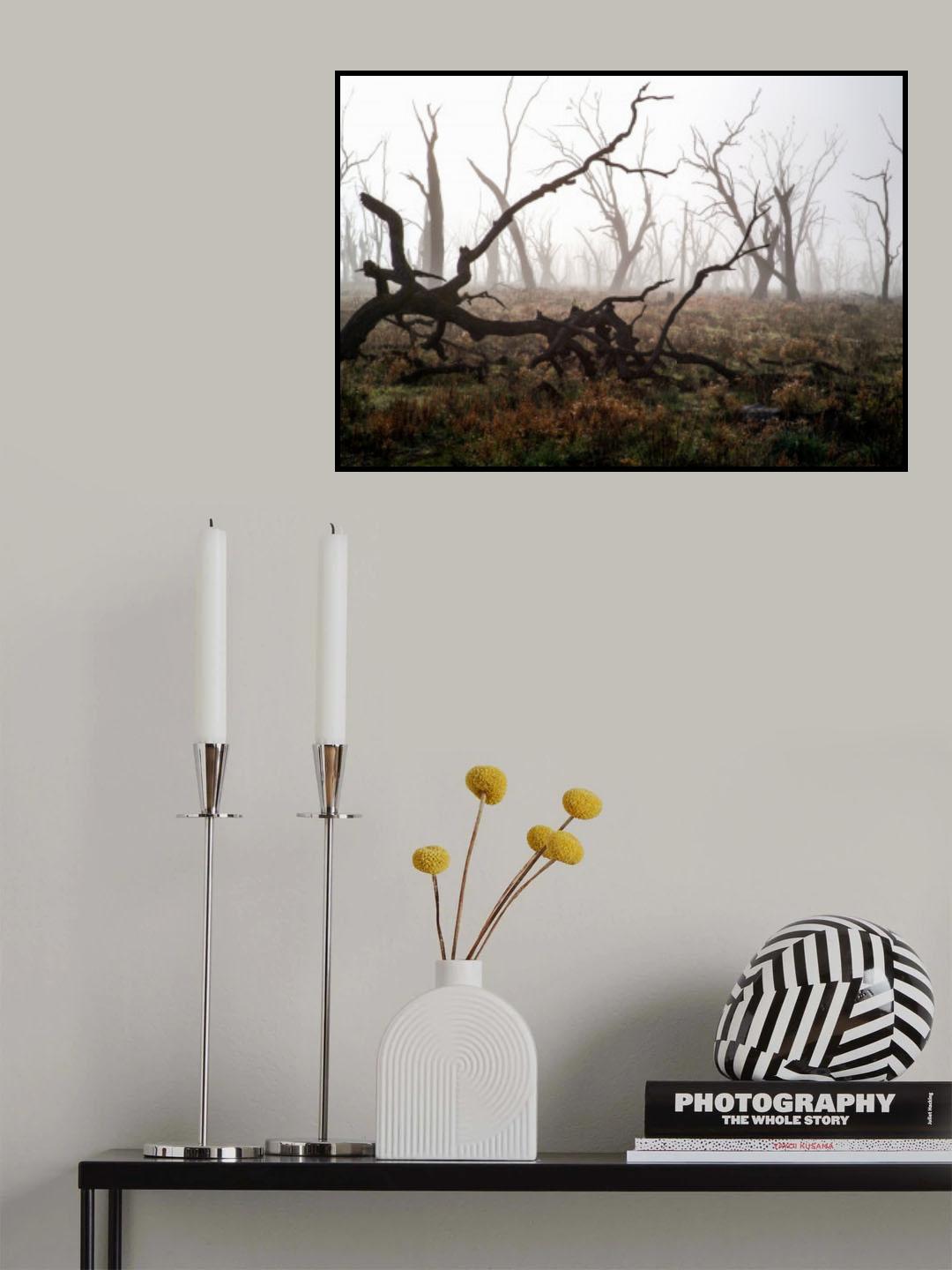 Morning Fog Poster och Canvastavla