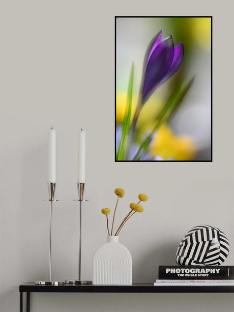 Sunbeam Poster och Canvastavla