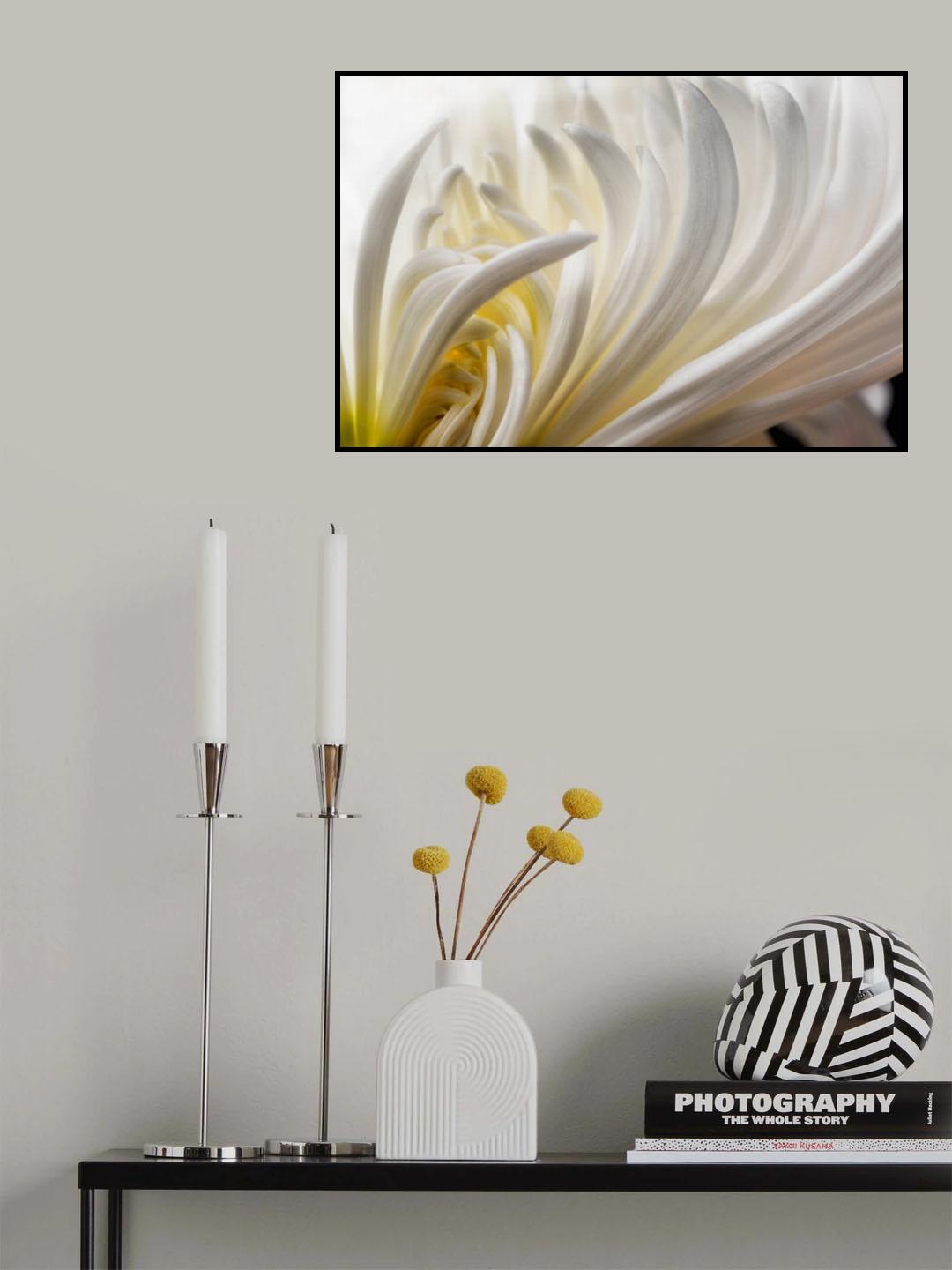 Dahlia 5 Poster och Canvastavla