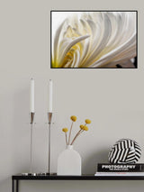 Dahlia 5 Poster och Canvastavla