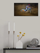 Speedway Poster och Canvastavla