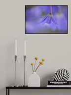 Monochrome blues Poster och Canvastavla