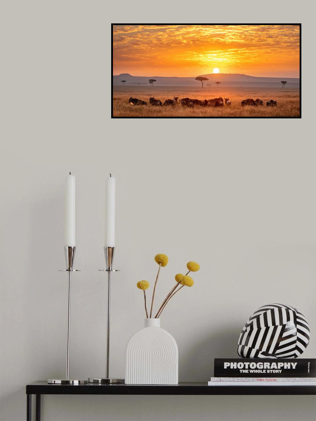 Sunrise Poster och Canvastavla