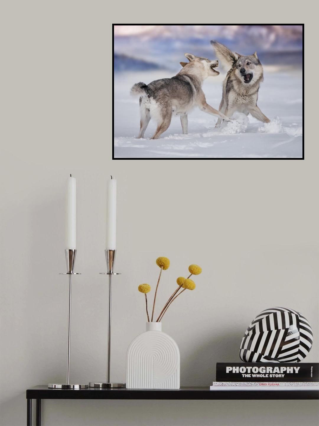 Poster och Canvastavla
