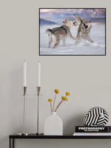 Poster och Canvastavla
