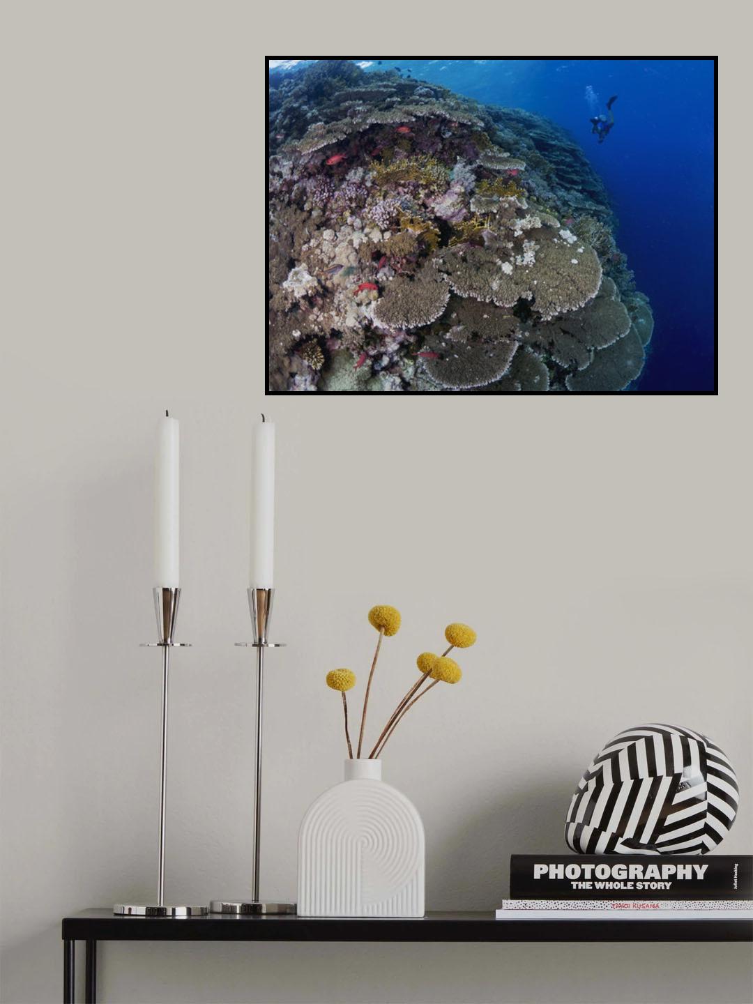 Big Brother Reefscape Poster och Canvastavla