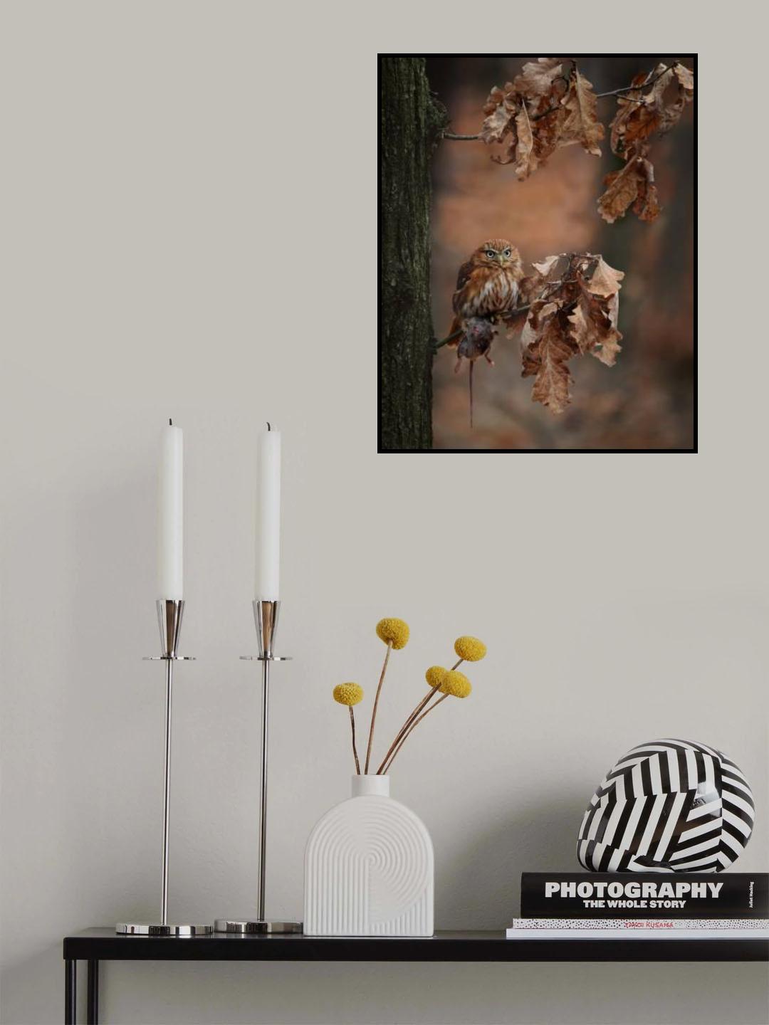 Resting With prey Poster och Canvastavla