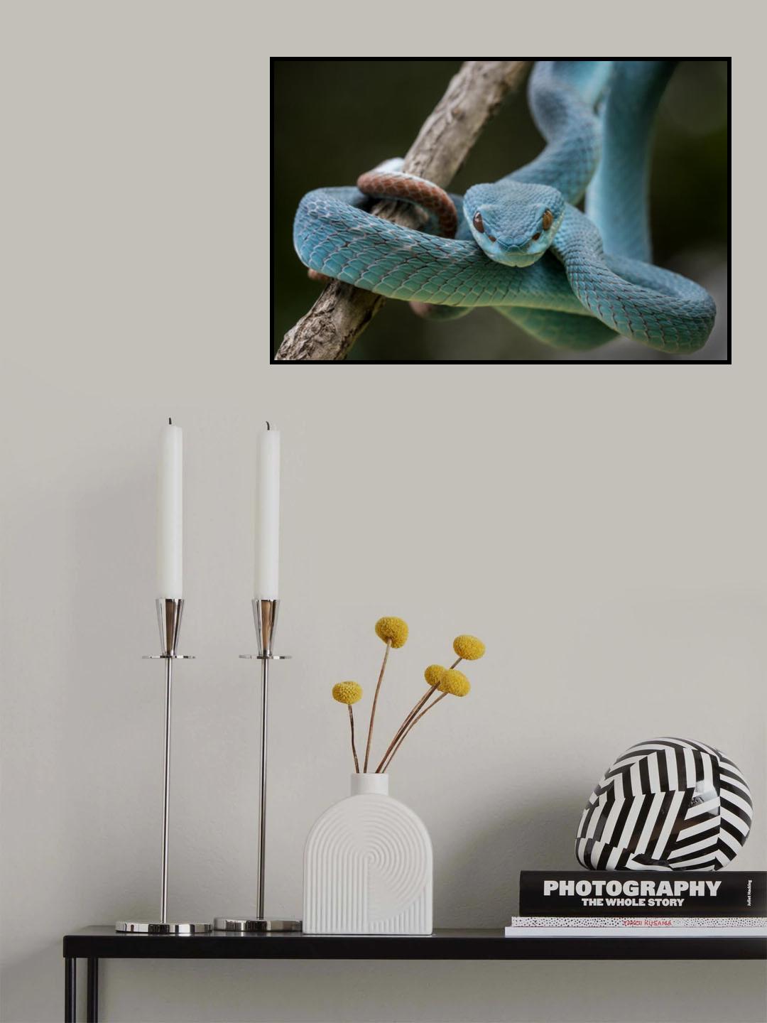 Poster och Canvastavla