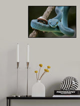 Poster och Canvastavla
