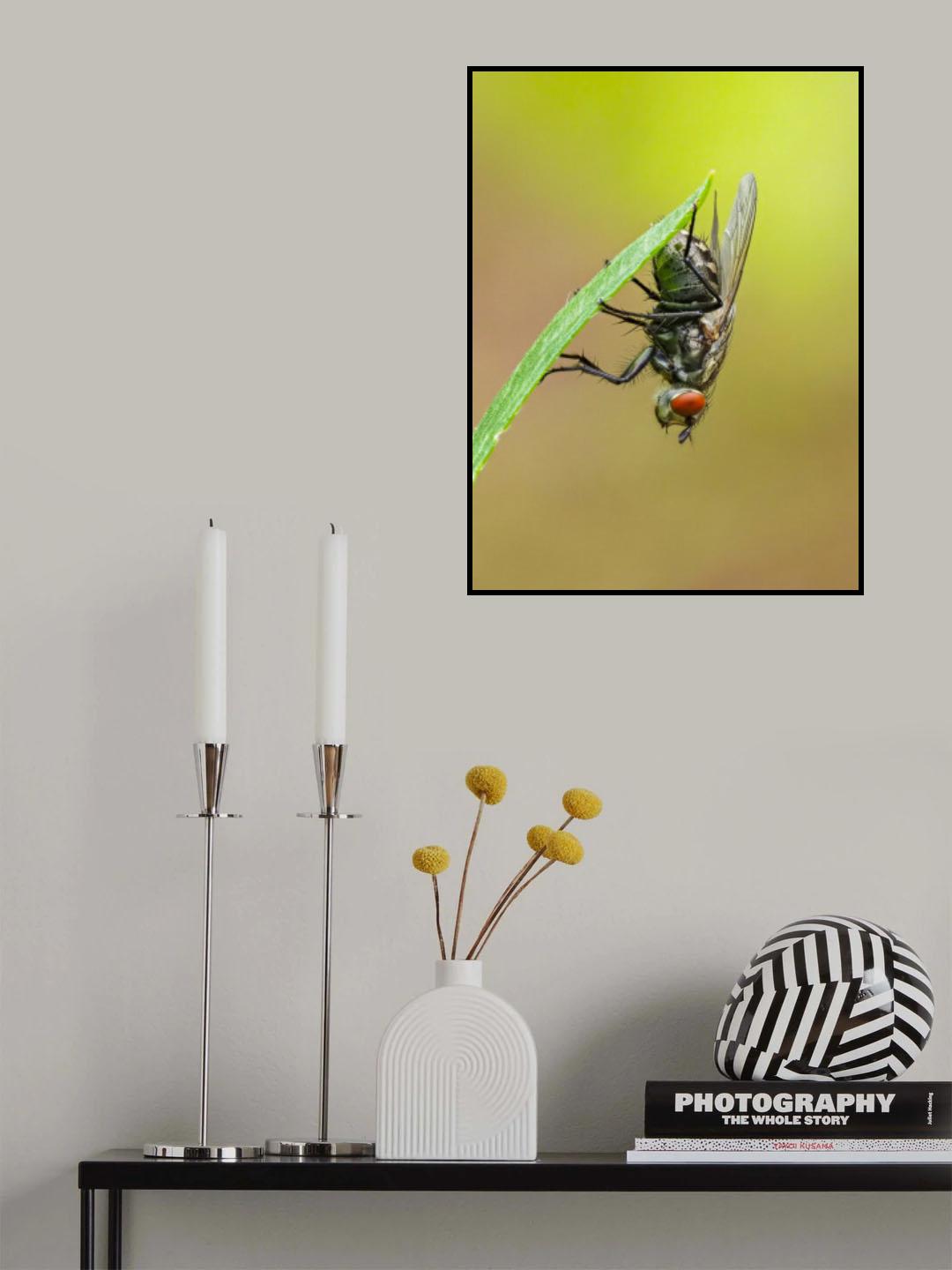 upside down Poster och Canvastavla