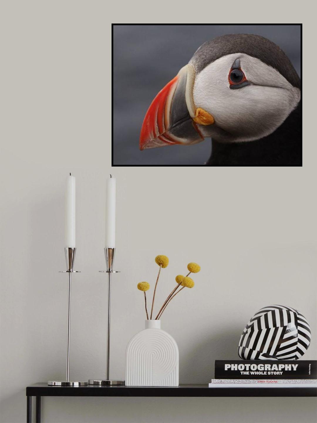 puffin Poster och Canvastavla