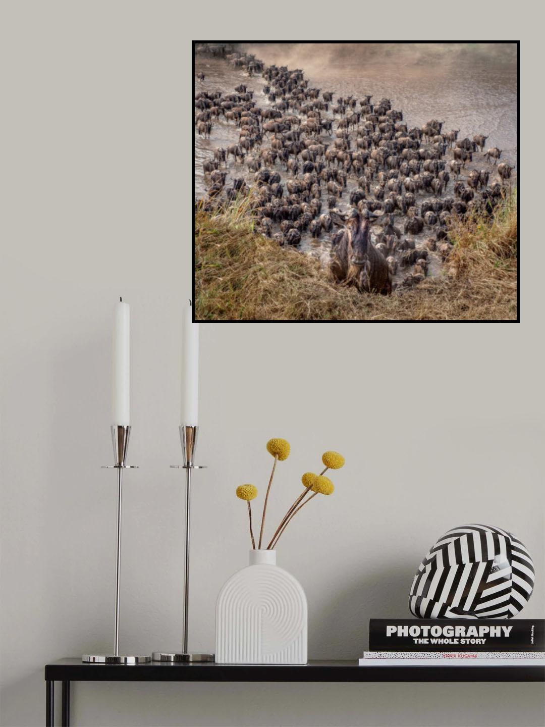 Follow the Leader Poster och Canvastavla