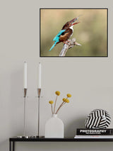 Wild nature Poster och Canvastavla