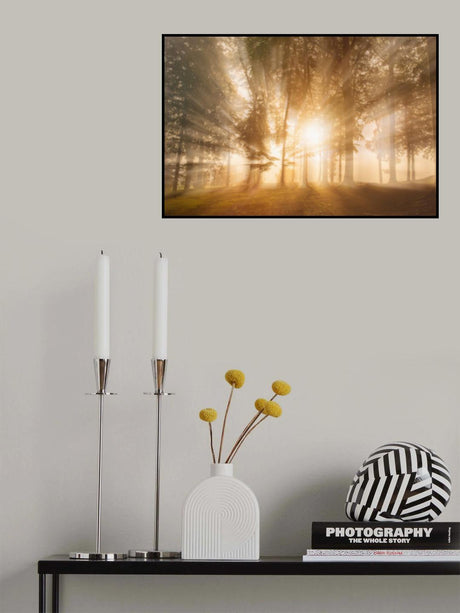 Blinded by the light Poster och Canvastavla