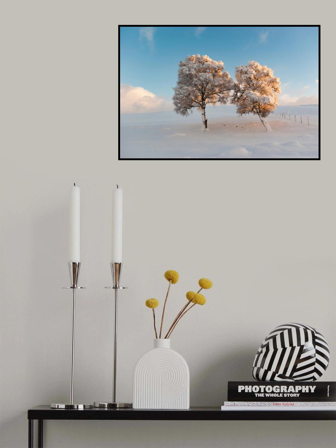 Twins Poster och Canvastavla