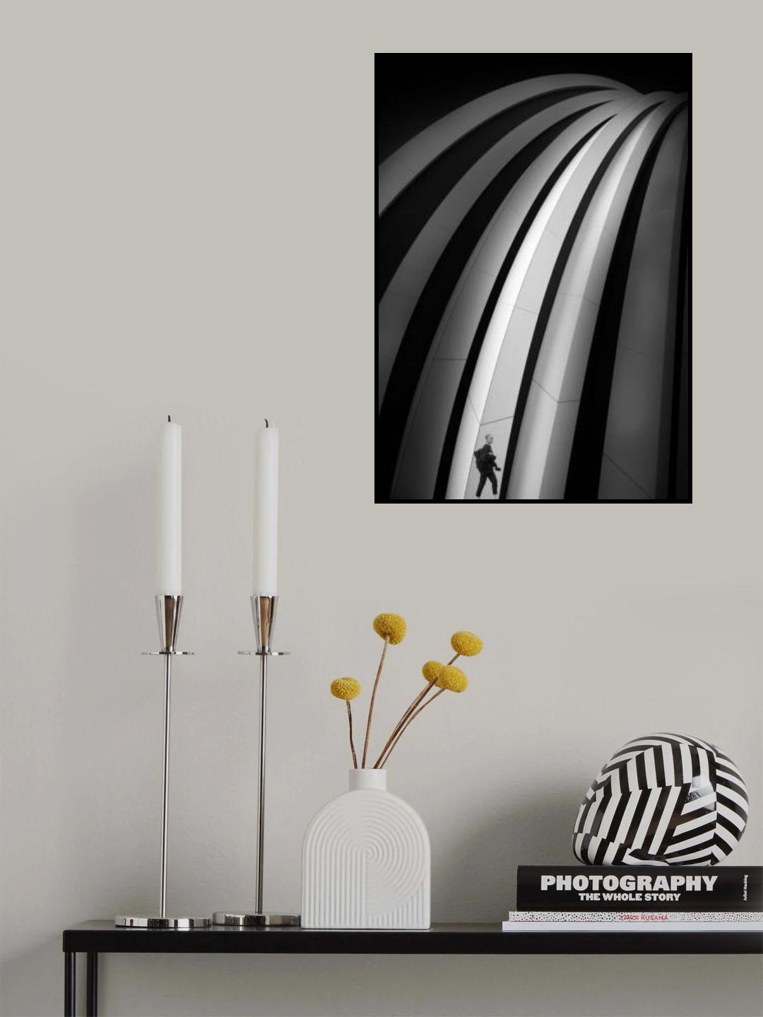 Curves Poster och Canvastavla