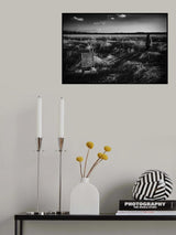Poster och Canvastavla