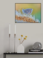 Nature's beauty without special effects Poster och Canvastavla