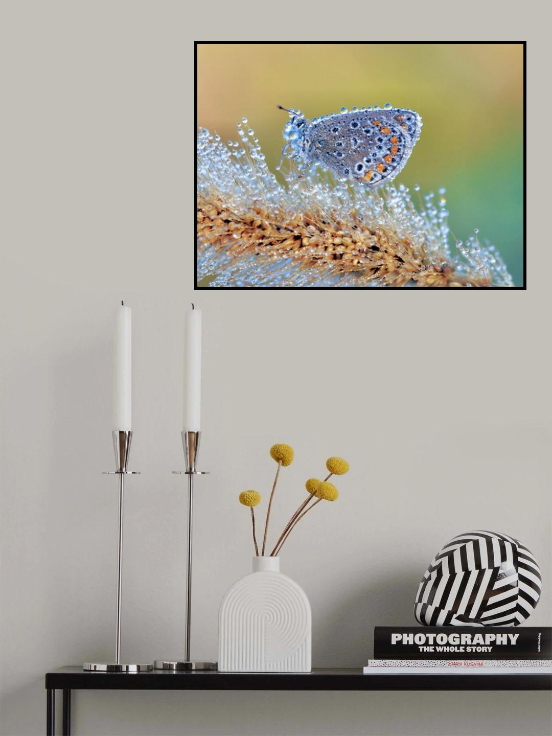 Nature's beauty without special effects Poster och Canvastavla