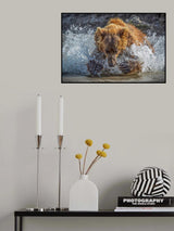 Bear Action Poster och Canvastavla