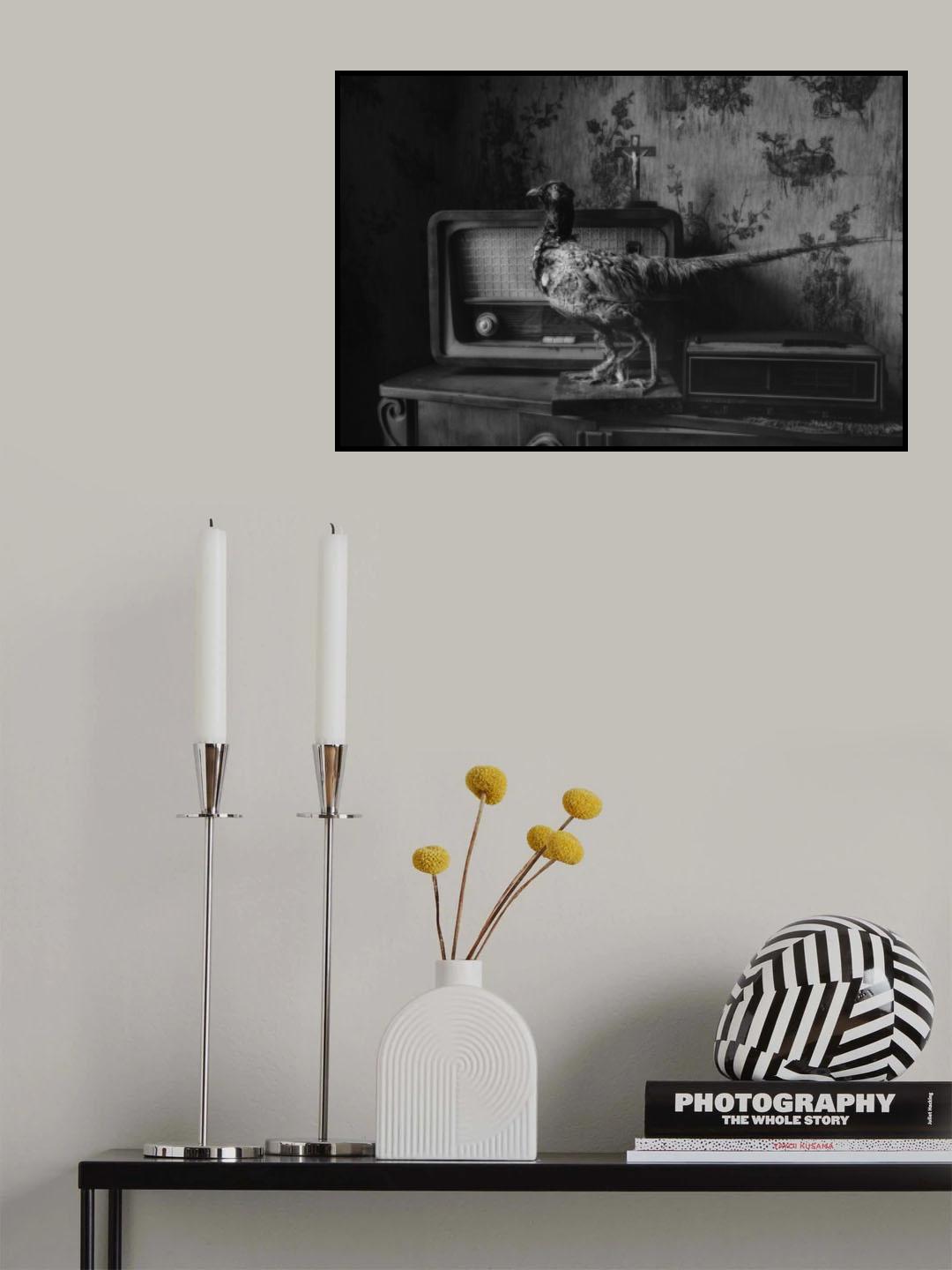 3 legged Faisan Poster och Canvastavla