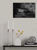 3 legged Faisan Poster och Canvastavla