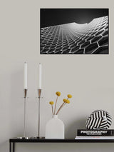 Beehives Poster och Canvastavla