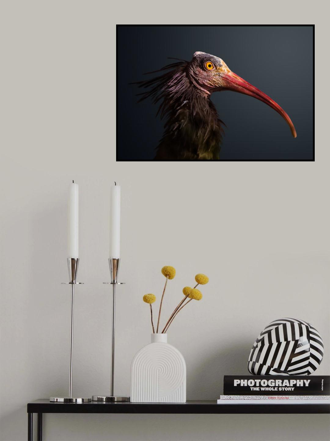 Angry Bird Poster och Canvastavla