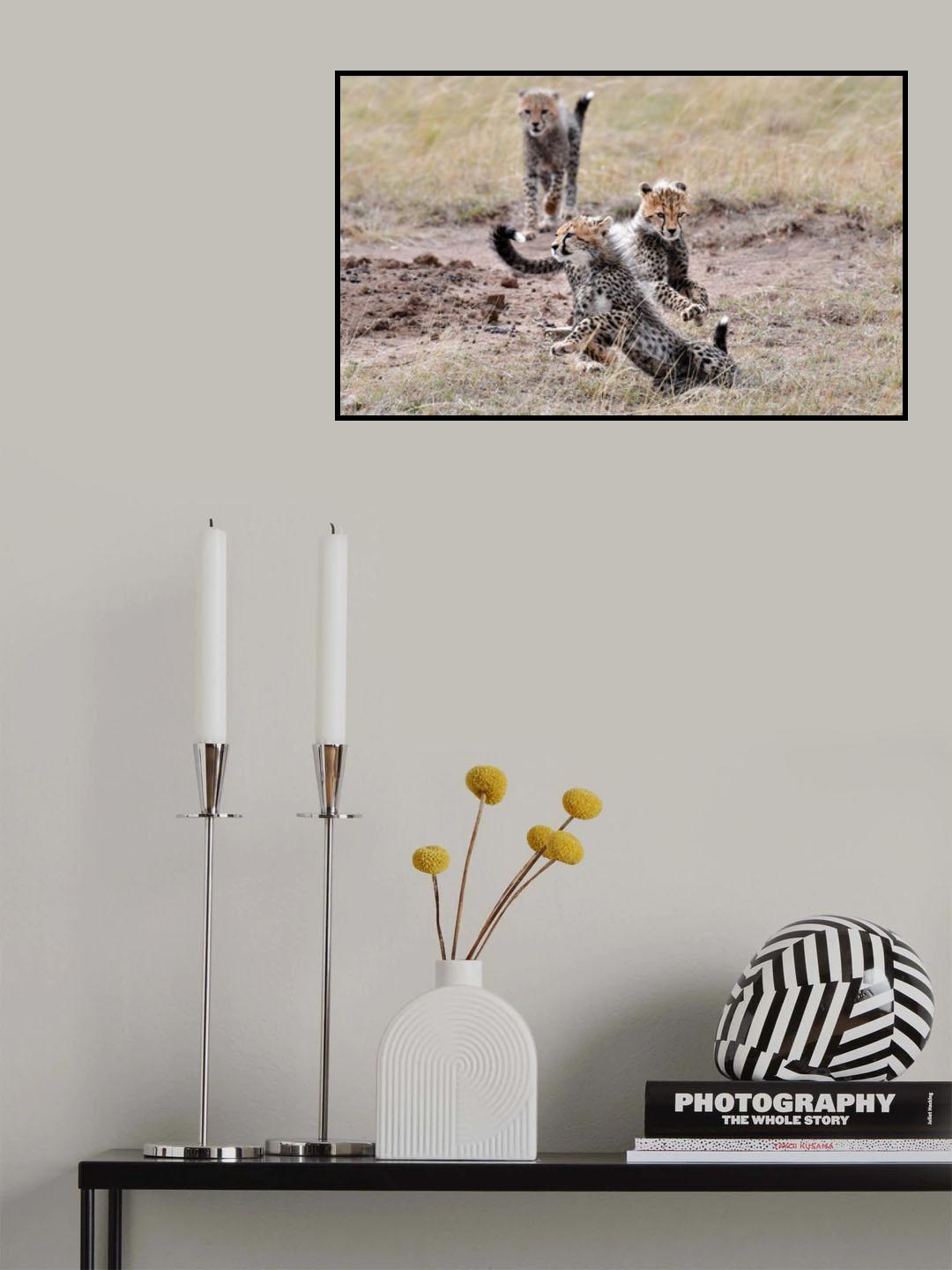Play time Poster och Canvastavla