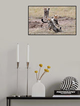 Play time Poster och Canvastavla