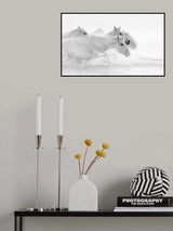 White horses Poster och Canvastavla