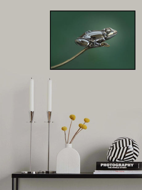 Frog Poster och Canvastavla