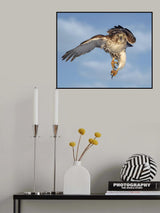 Poster och Canvastavla