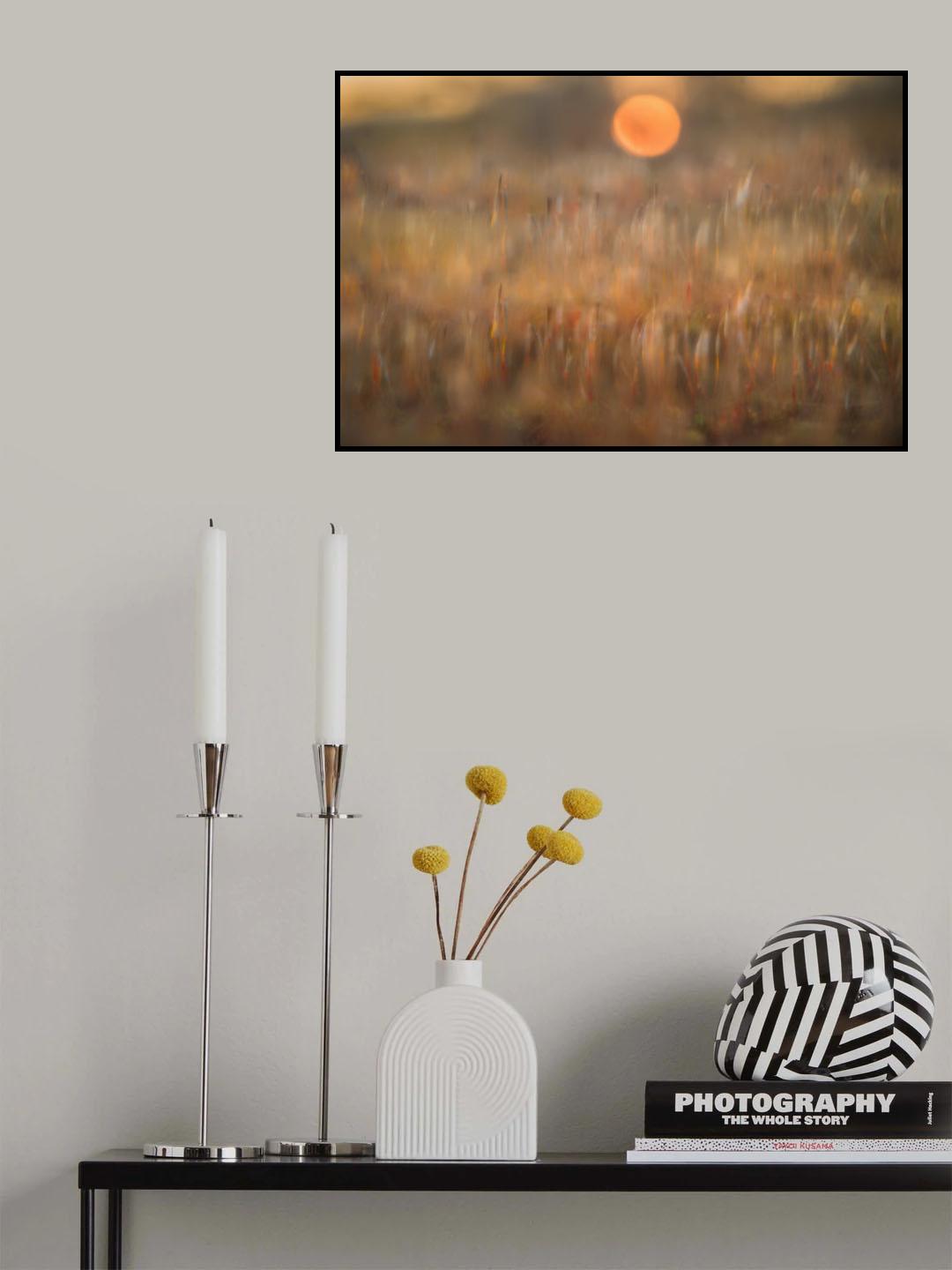 sunrise among the rough hair moss Poster och Canvastavla