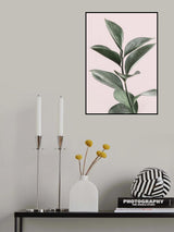 Foliage on Pink Poster och Canvastavla