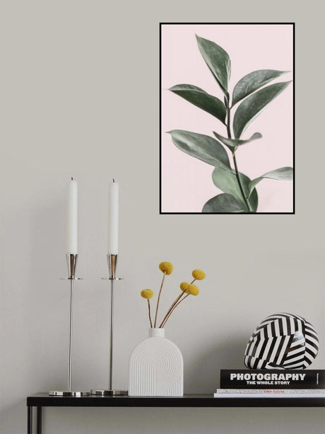 Foliage on Pink Poster och Canvastavla