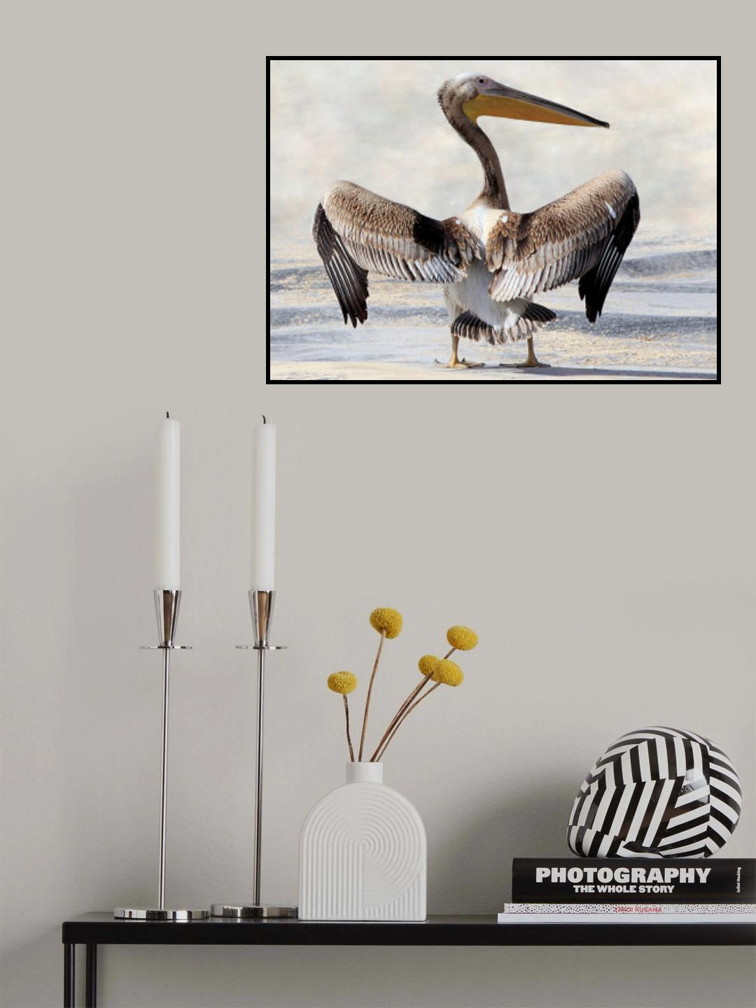 Pelican's Wingspan Poster och Canvastavla
