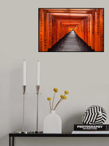 Inari enlightened path Poster och Canvastavla
