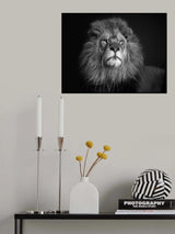 Staying Alert Poster och Canvastavla