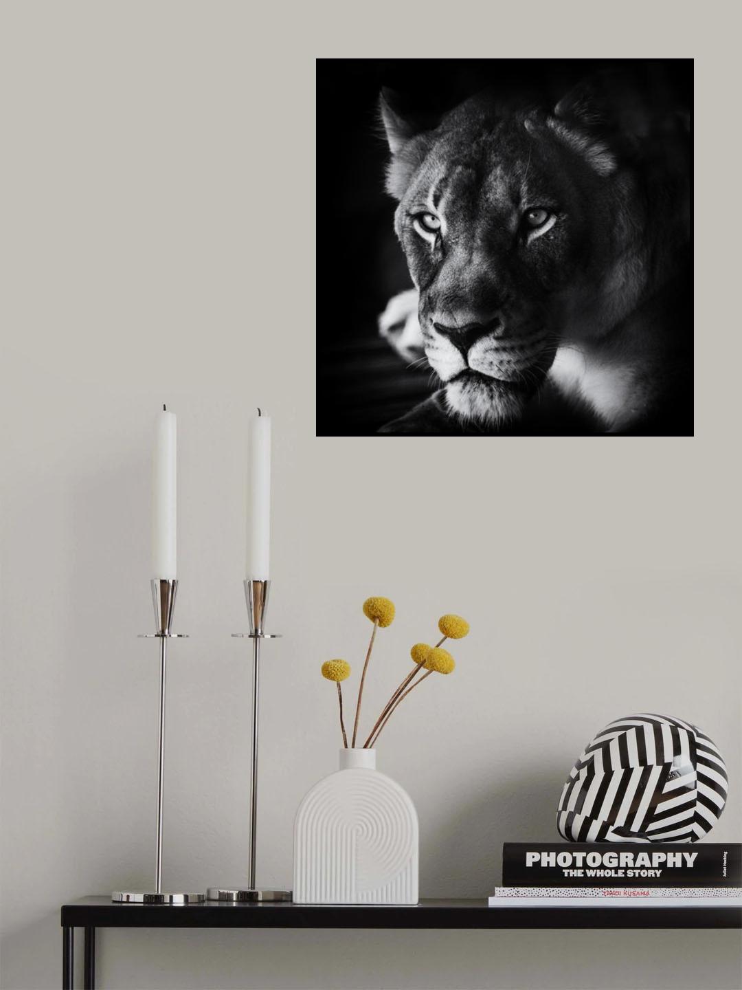 The Look Poster och Canvastavla