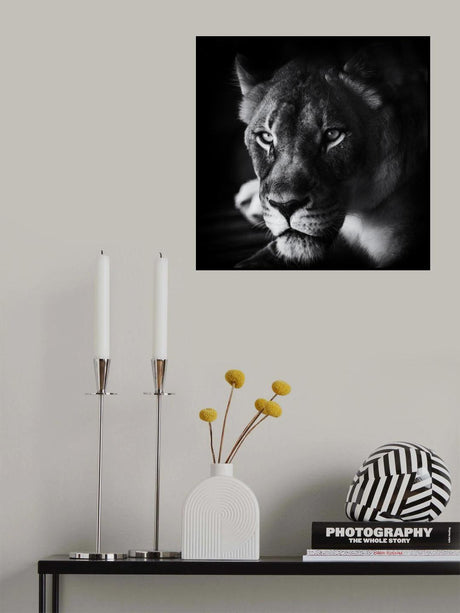 The Look Poster och Canvastavla