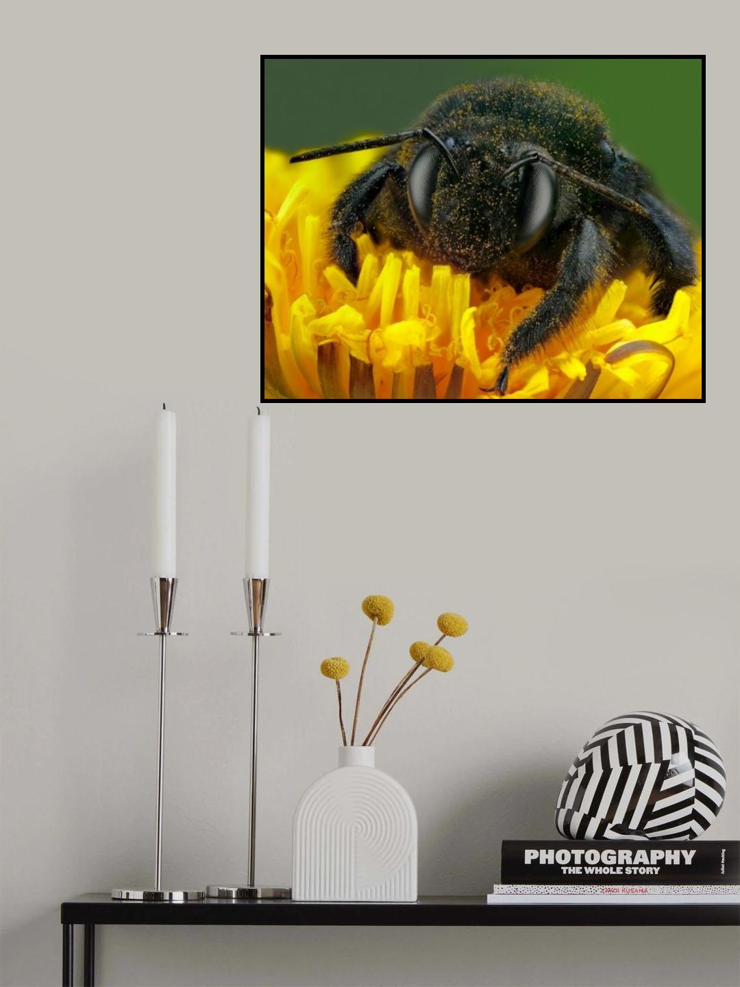 Scrooge Poster och Canvastavla