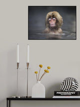 Comfort Zone Poster och Canvastavla